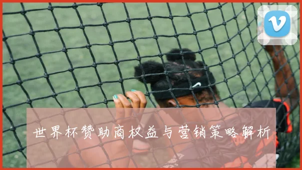 世界杯赞助商权益与营销策略解析