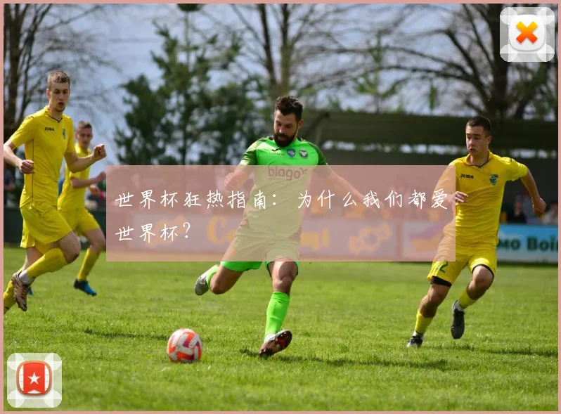 世界杯狂热指南：为什么我们都爱世界杯？