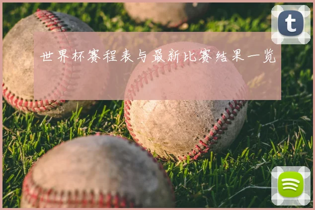 世界杯赛程表与最新比赛结果一览