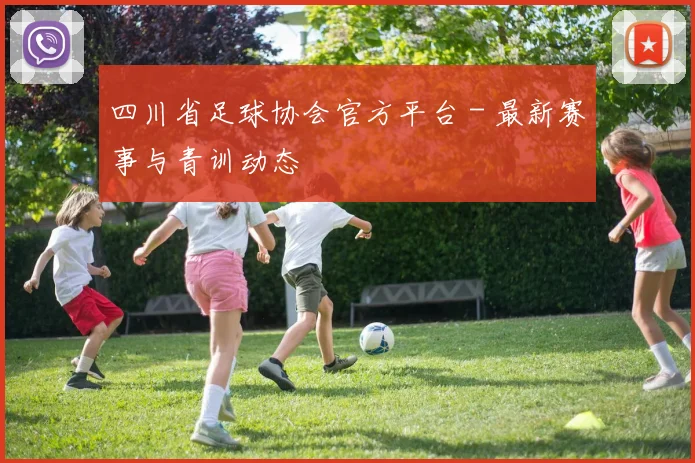 四川省足球协会官方平台 - 最新赛事与青训动态