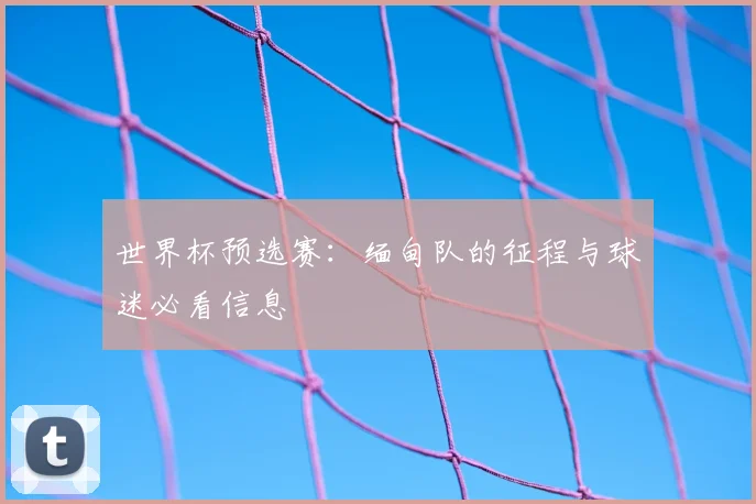 世界杯预选赛：缅甸队的征程与球迷必看信息